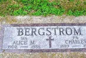 Alice Mabel Bergstrom Alice Mabel Bergstrom