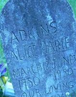 Alice Marie Adkins