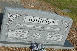 Alice Marie Williams Johnson