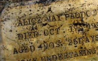 Alice May Paddock