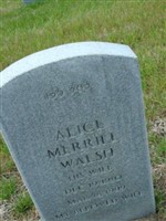 Alice Merrill Walsh Alice Merrill Walsh
