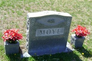 Alice Moye