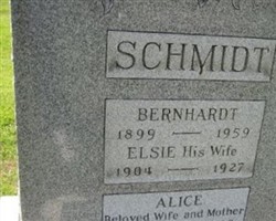 Alice Musgrave Schmidt