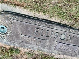 Alice P. Ellison
