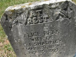 Alice Peak Shadrick