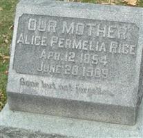 Alice Permelia Rice