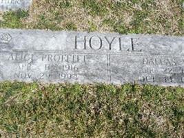 Alice Proffitt Hoyle