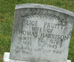Alice Pruitt Harrison