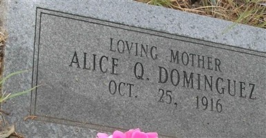 Alice Q Dominguez