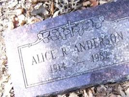 Alice R. Berg Anderson