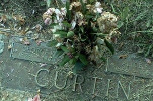 Alice R Curtin Alice R Curtin