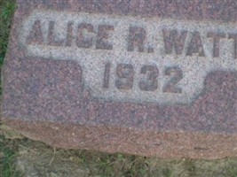 Alice R Watts Alice R Watts