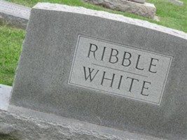 Alice R White Alice R White