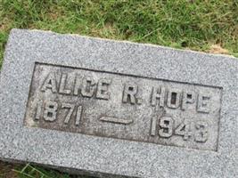 Alice Robinson Hope