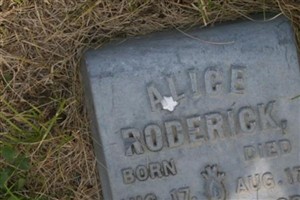 Alice Roderick Alice Roderick