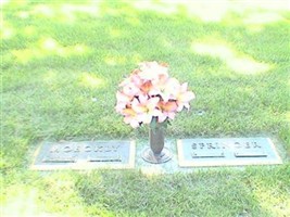 Alice Rose Moeckly Springer Alice Rose Moeckly Springer