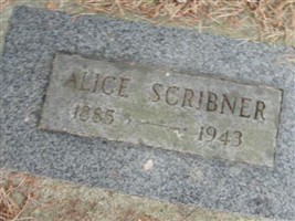 Alice Scribner Alice Scribner