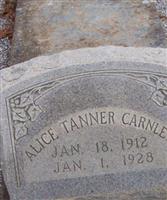 Alice Tanner Carnley