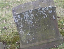 Alice Taylor Minor