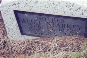 Alice Texas (Davis) Starkey