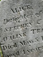 Alice Trask Alice Trask