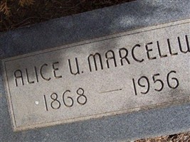 Alice U. Marcellus Alice U. Marcellus