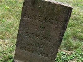 Alice Watts Alice Watts