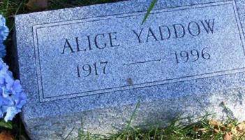 Alice Yaddow