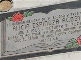 Alicia Espinoza Acosta Alicia Espinoza Acosta