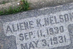 Aliene K Nelson Aliene K Nelson