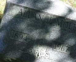Allan J Mole Allan J Mole