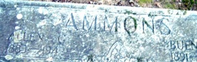 Allen C Ammons