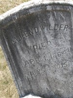 Allen D Wilder