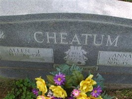 Allen J Cheatum