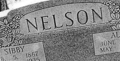 Allen Nelson, Sr