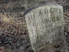 Allen Turner Brandon