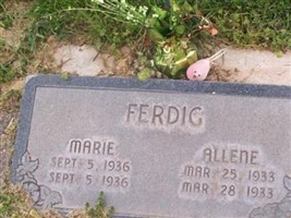 Allene Ferdig