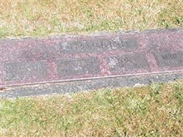 Allene P Hammond