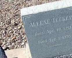 Allene Tucker