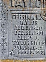 Alley Jane Barnett Taylor