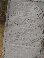 Allie B Gillespie
