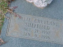 Allie Cheyenne Sheffield Allie Cheyenne Sheffield