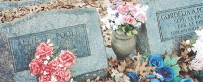Allie E Poole