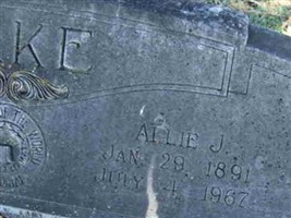 Allie J Lake