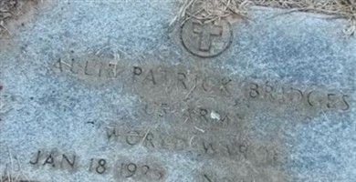 Allie Patrick Bridges