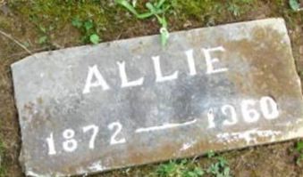 Allie Toomey