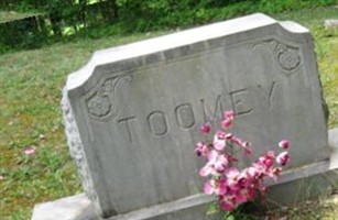 Allie Toomey