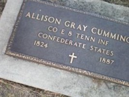 Allison Gray Cummins