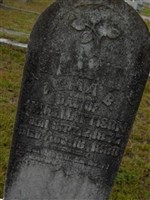 Alma B. Mattison