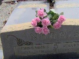 Alma Berry Norris